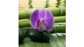 Logo Araya Thaimassage