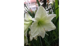 Haut an Haut München