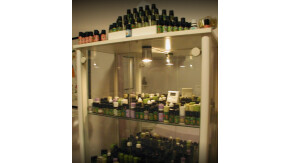 Healing Massage Oase Dossenheim