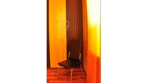 Liebeskatzen Regensburg